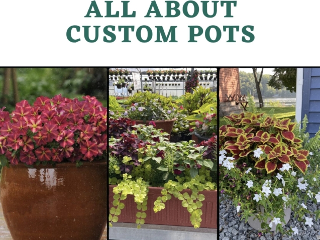 custom pots